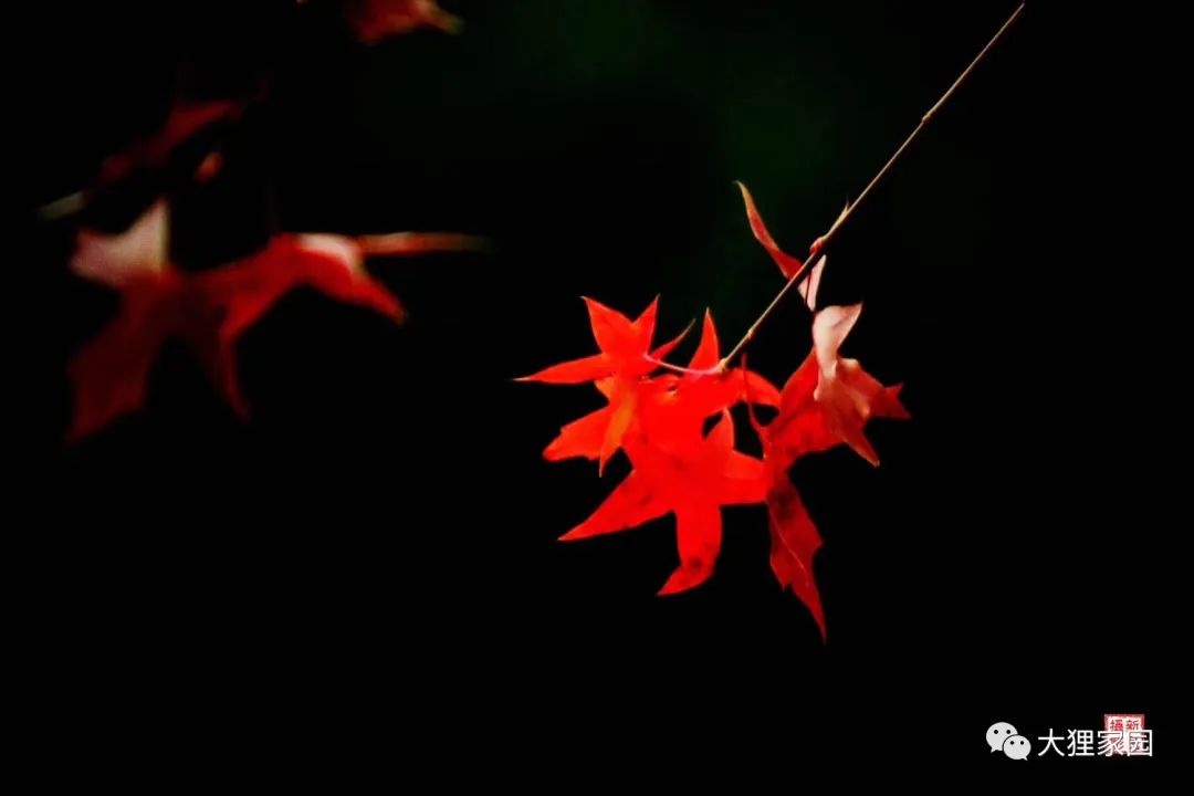 带娃的日子有滋有味,为什么别人的日子过得有滋有味儿