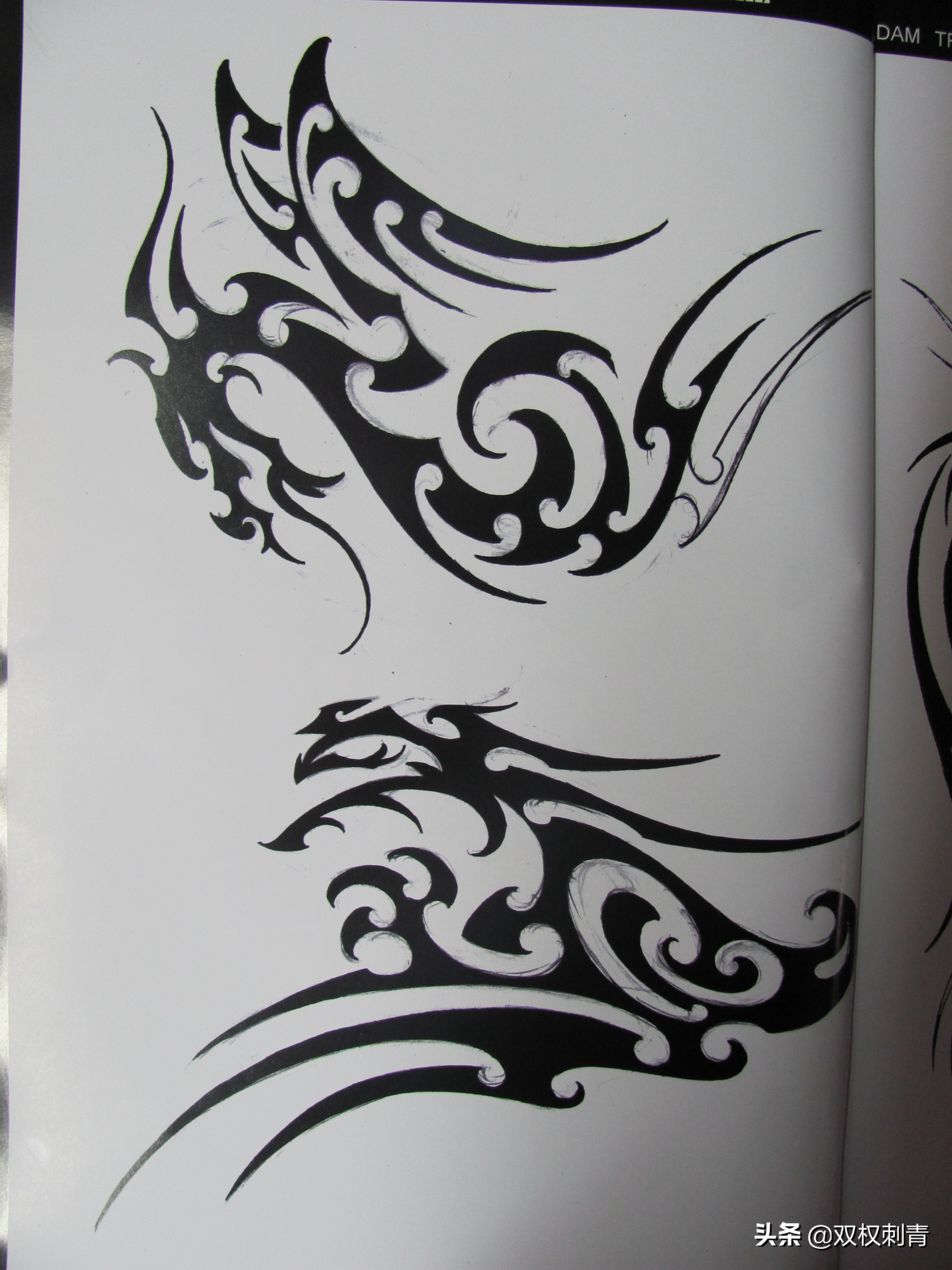 凤凰图腾图,张氏图腾图