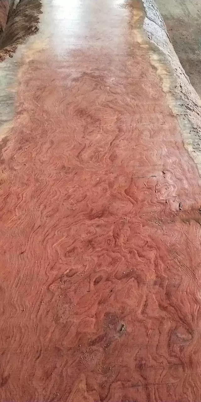 暗访广东天价大板生产基地,原料全是称斤拉木头,富豪还排队来买