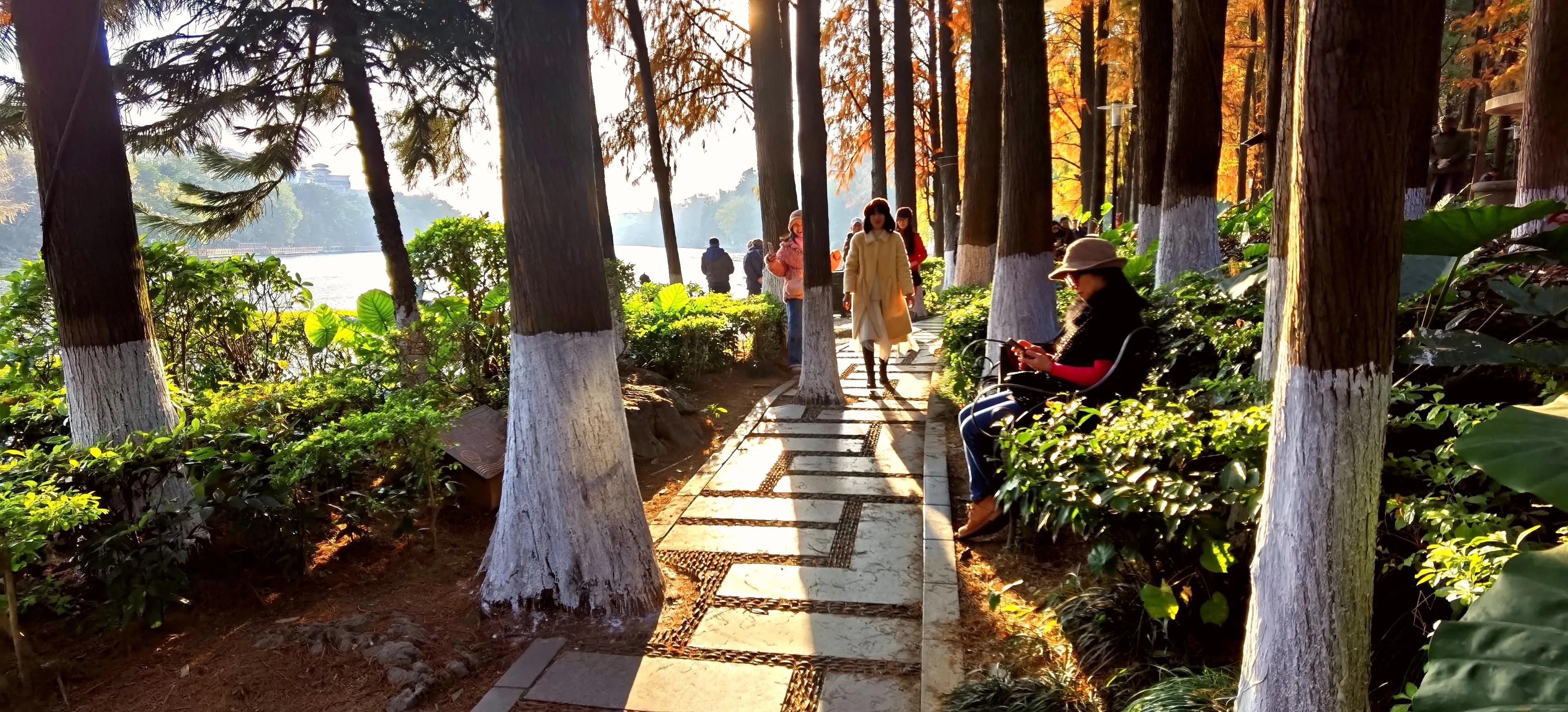 桂林：冬季到桂湖来看景