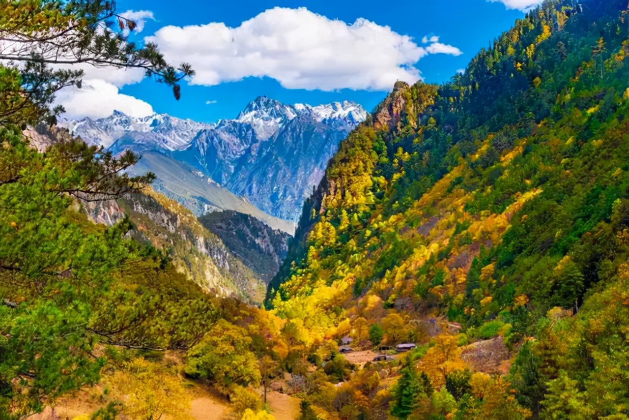 1011月错过它们，等于错过整个秋天！人少清净，随手一拍都是大片