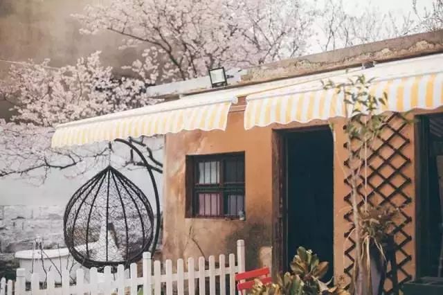 10000块能做点什么,10000块钱能做什么