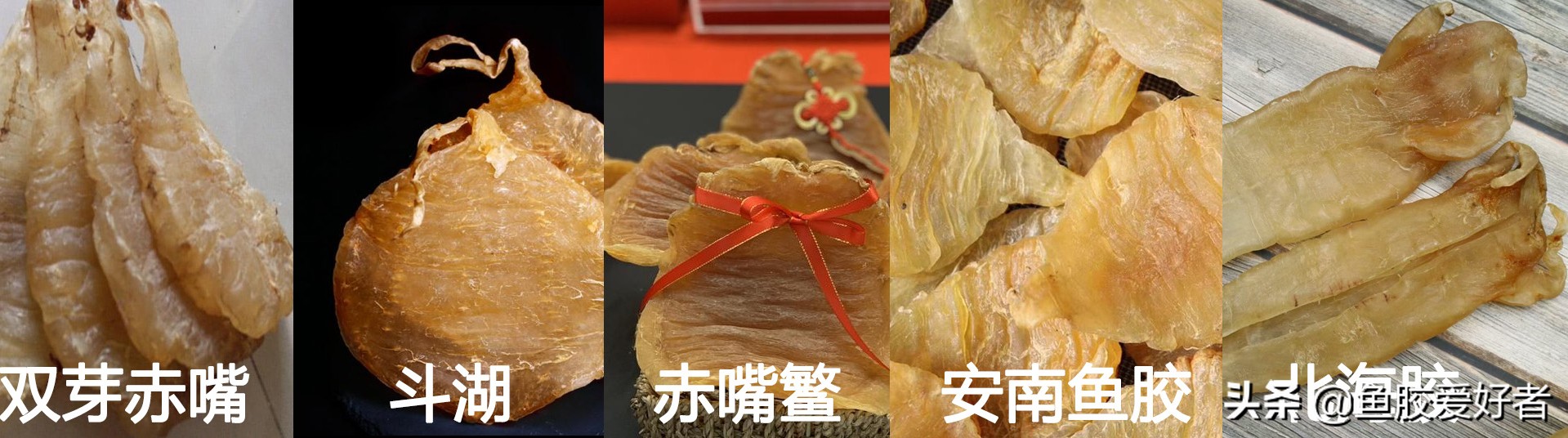 为什么鱼胶要那么贵,顶级鱼胶为什么那么贵