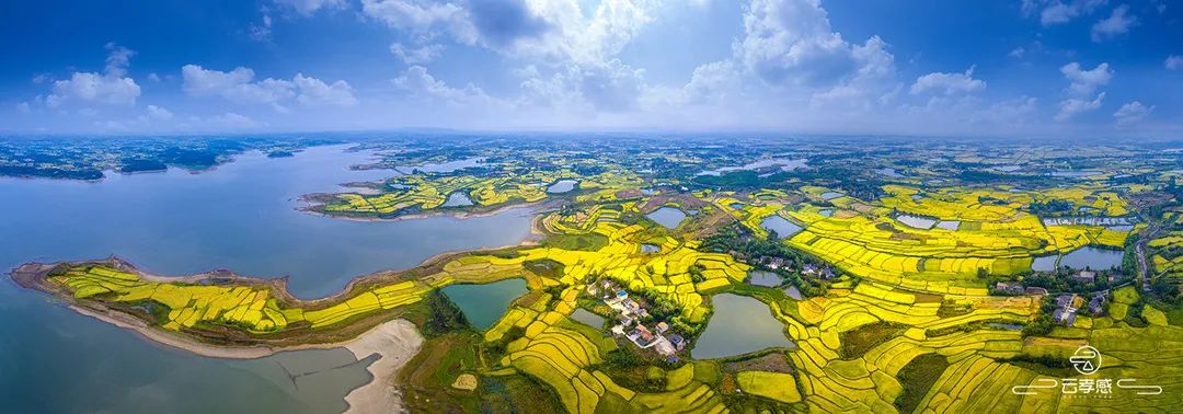 李鸿飞摄影作品初春,李鸿飞画家