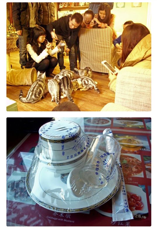 知乎中国与美国有什么相同与不同,知乎网友对中国美国发展的评论