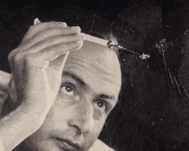 品毒是什么意思,品毒是什么