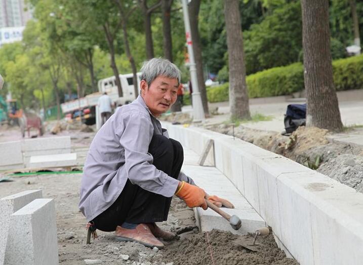 景观材料施工工艺方案,景观设计常见施工材料图层