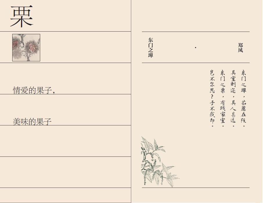 诗经中的栗子是什么样的,诗经中关于板栗的句子