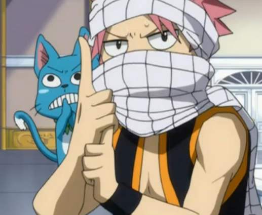 妖精的尾巴灭龙魔导士有多少人,妖尾灭龙魔导士为什么需要猫