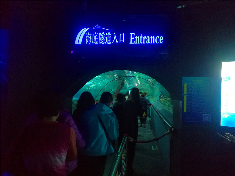 富国海底世界京津冀,游富国海底世界