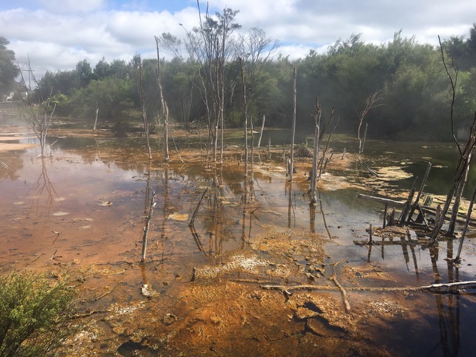 让你不用出门欣赏到美丽的风景,让你不出门你会待几天
