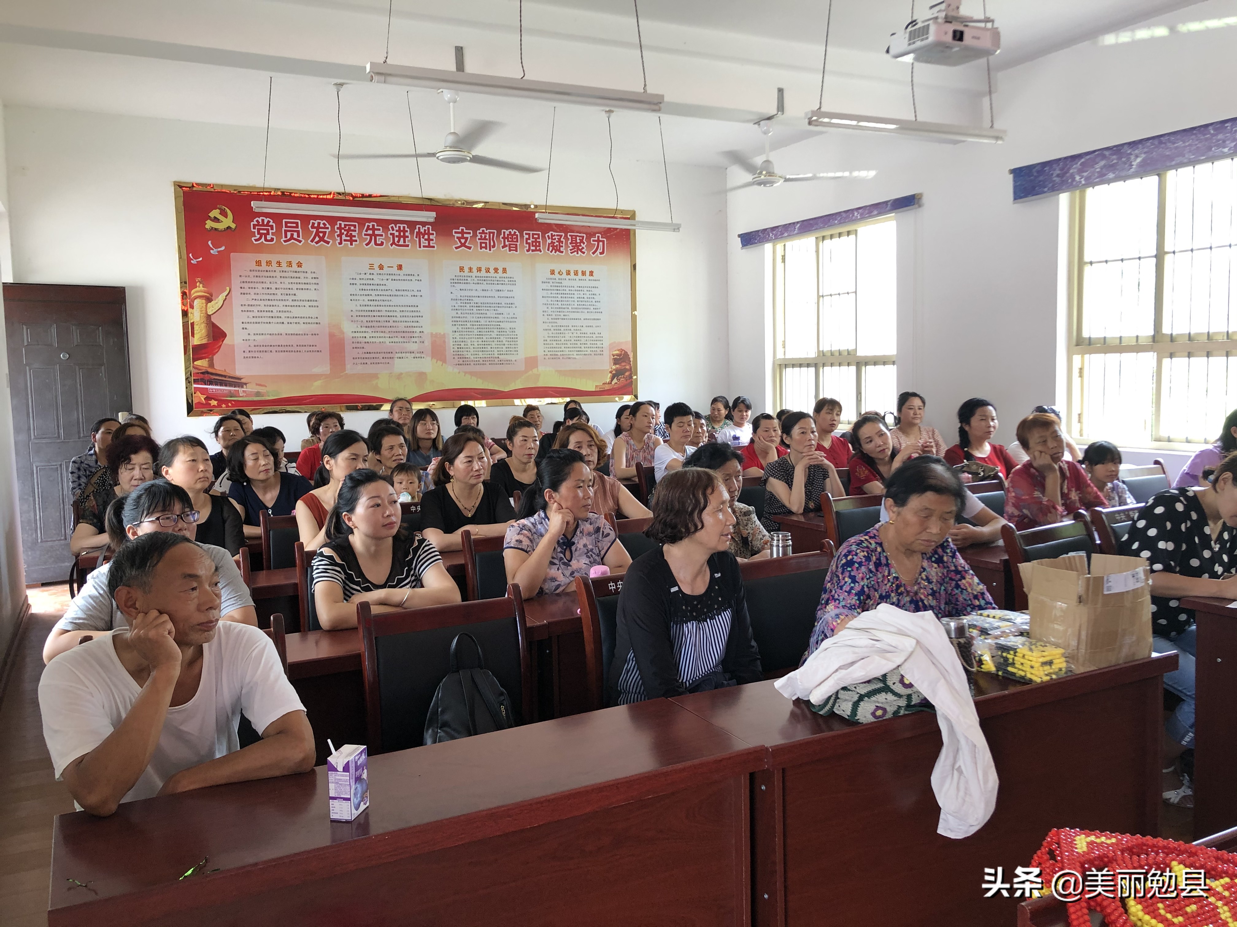 致富太阳花，怒放正当时…