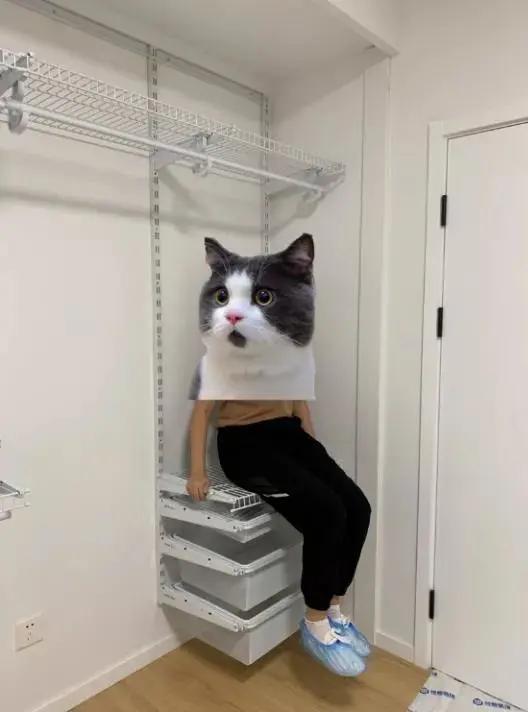 魏老板测评好莱客,魏老爸评测墙纸