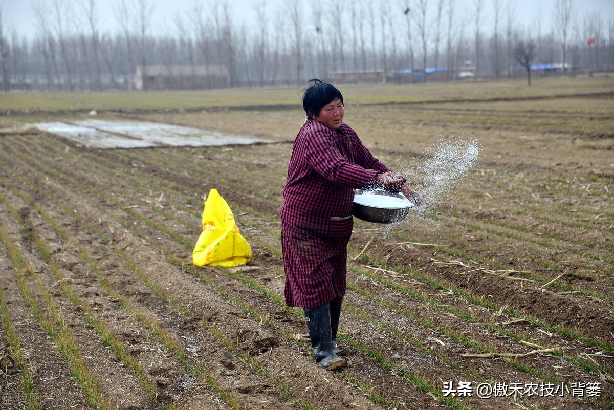 含氯化肥使用注意事项,长期使用中氯化肥对作物有危害吗