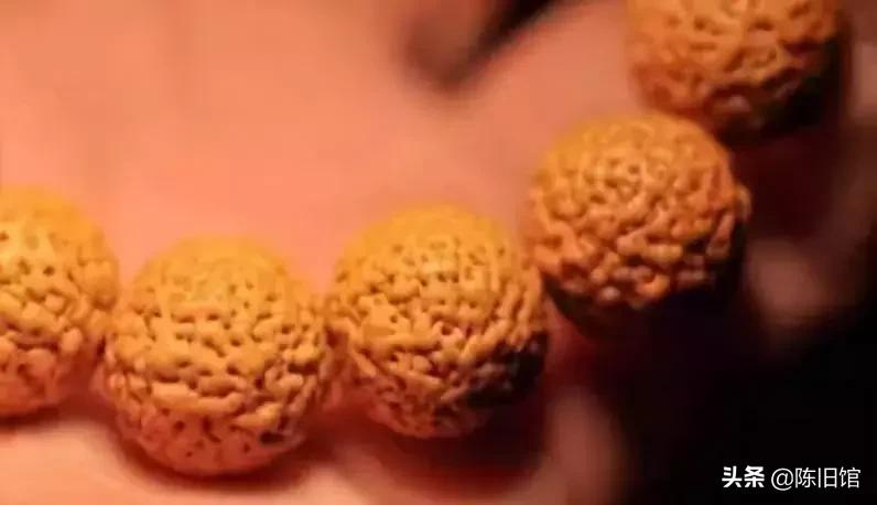 最值得玩的菩提子,真正的菩提子