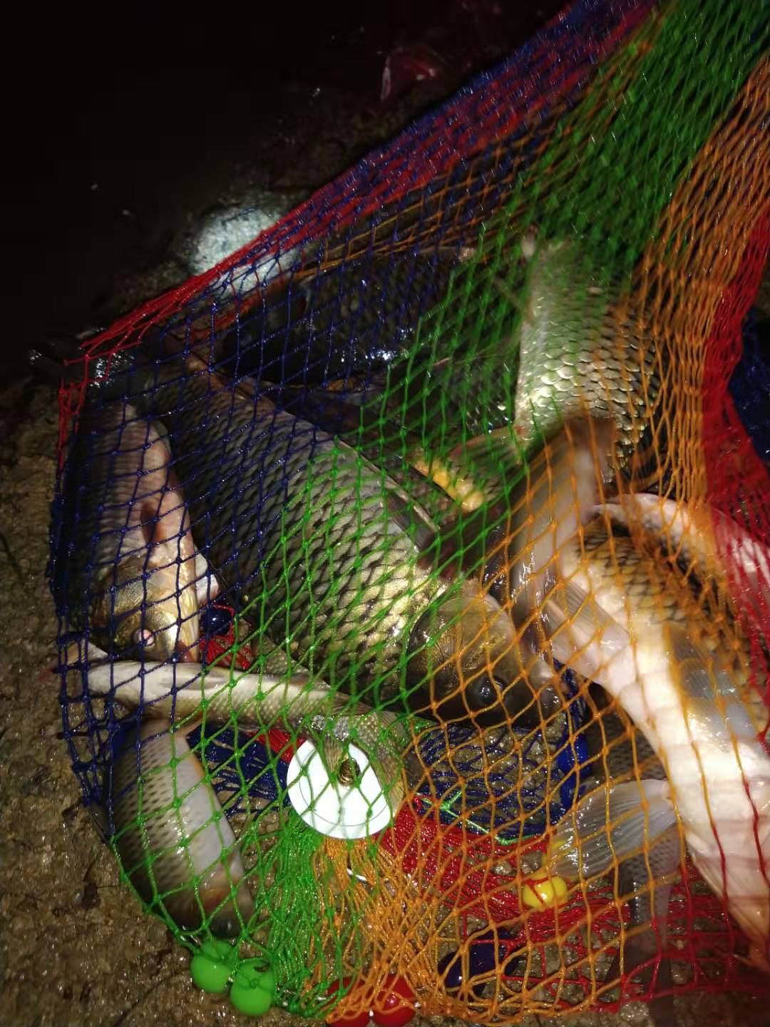 钓鱼奶香添加剂哪个牌子好,冬天钓鱼添加剂用甜还是香