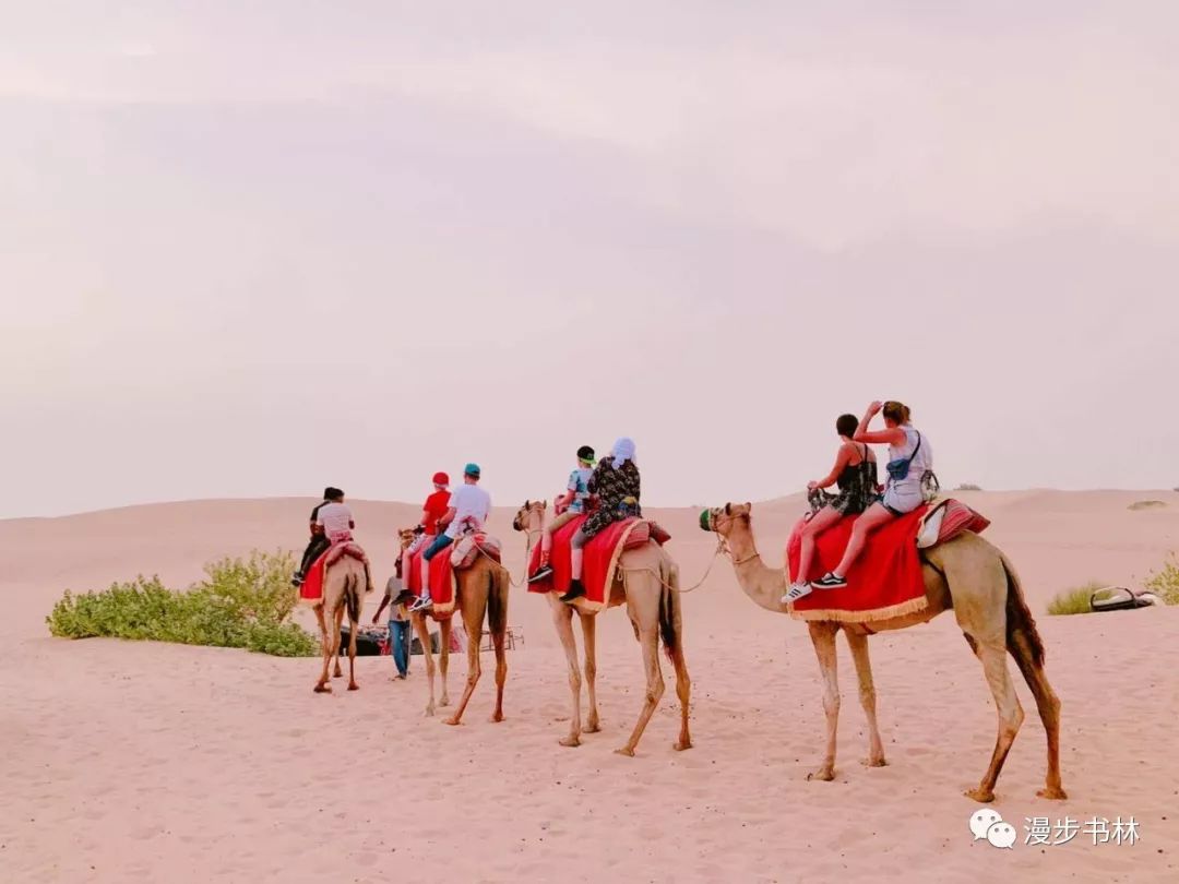 迪拜穷游攻略海边景点,迪拜穷游一天