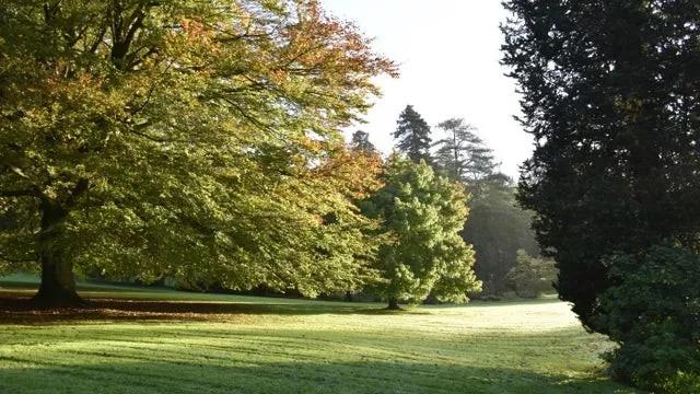 彼得兔的花园该怎么做,彼得兔的花园视频