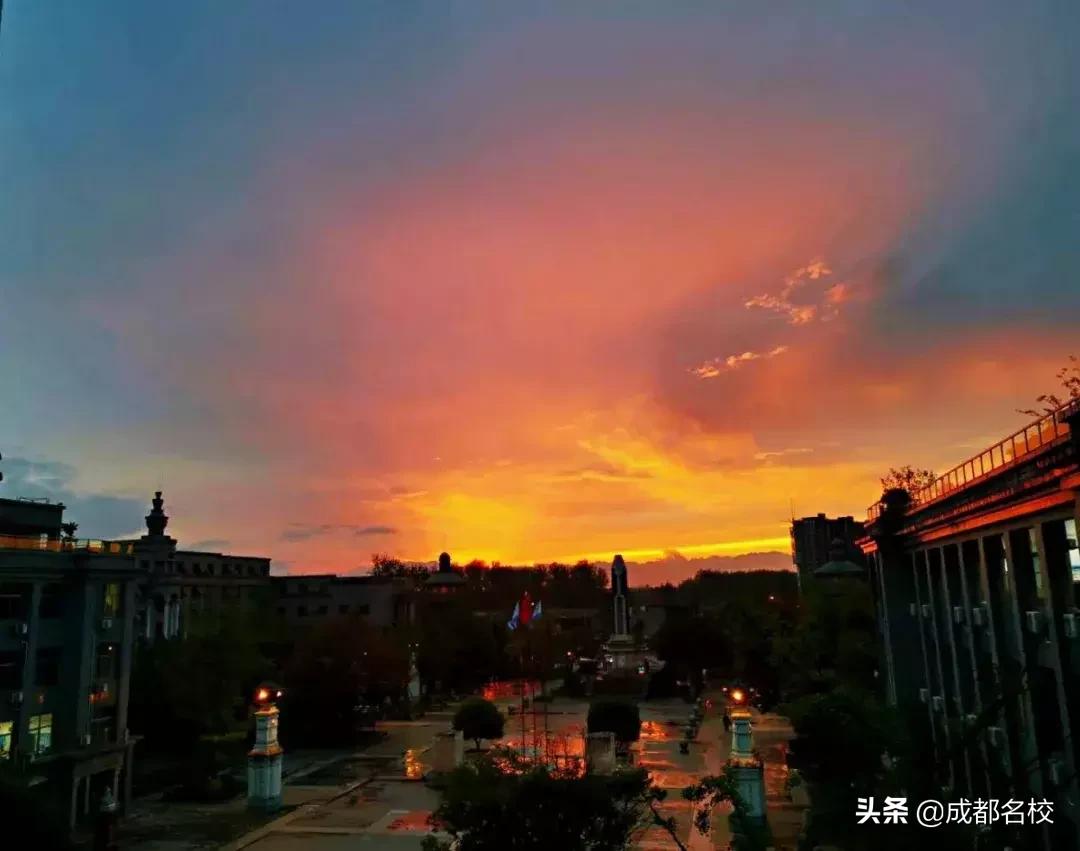 一所好学校，藏不住！成都石室外语学校的家长，深情为学校代言！