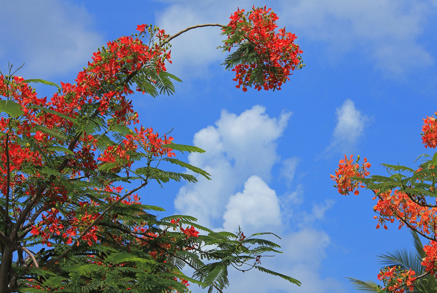 风说岁月,所谓时光不老