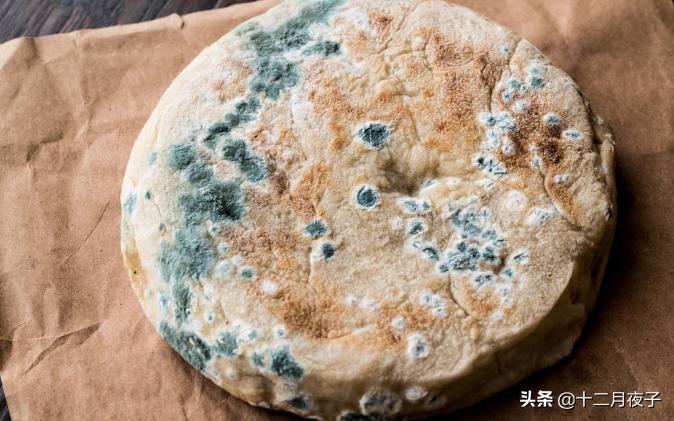 冰箱黄曲霉菌致癌物,黄曲霉真菌对人体危害