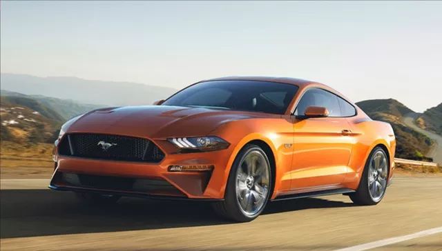 情人节开奥迪送白菜,情人节开奥迪见女朋友