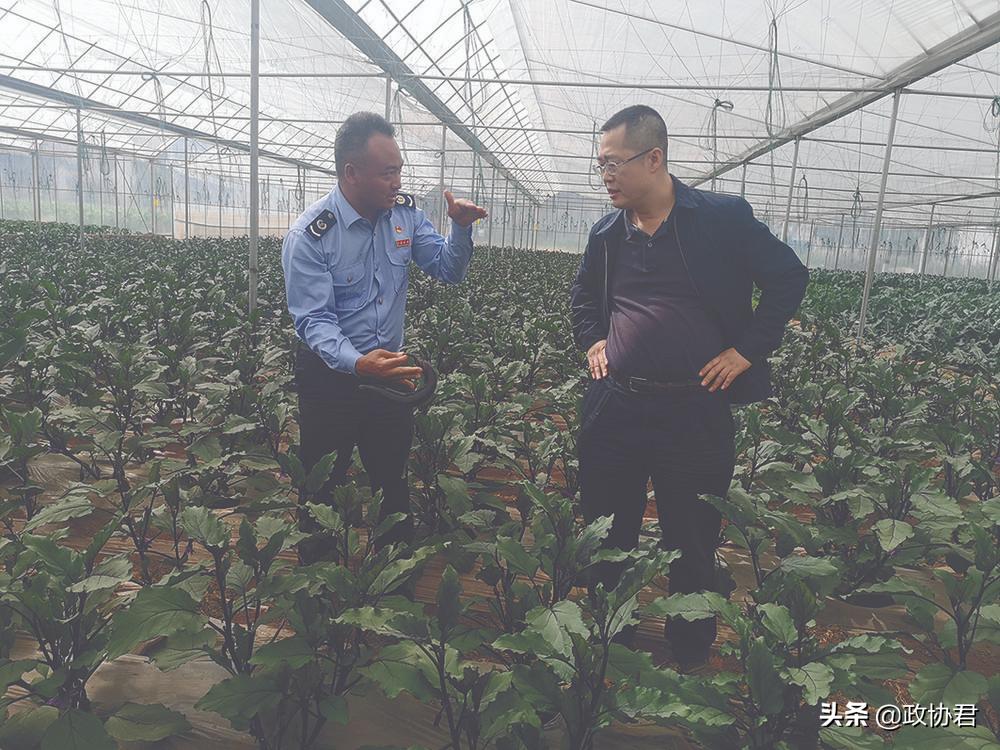 蹇冪郴浜烘皯鎯呯郴浜烘皯,蹇冪郴浜烘皯鎯呯郴鏁欒偛