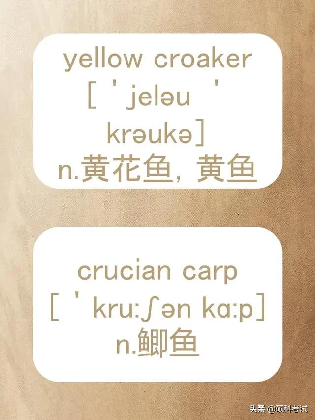 动物的英文拼写及音标,关于动物的单词及音标