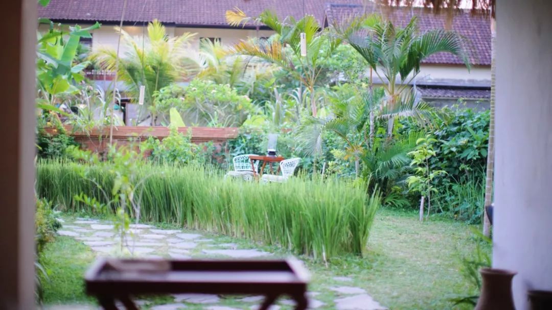 巴厘岛攻略一日游最佳路线图,一生必去一次的巴厘岛