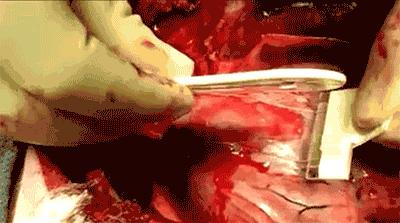 可以提高人体机能的黑科技,肉眼难以看出人体黑科技