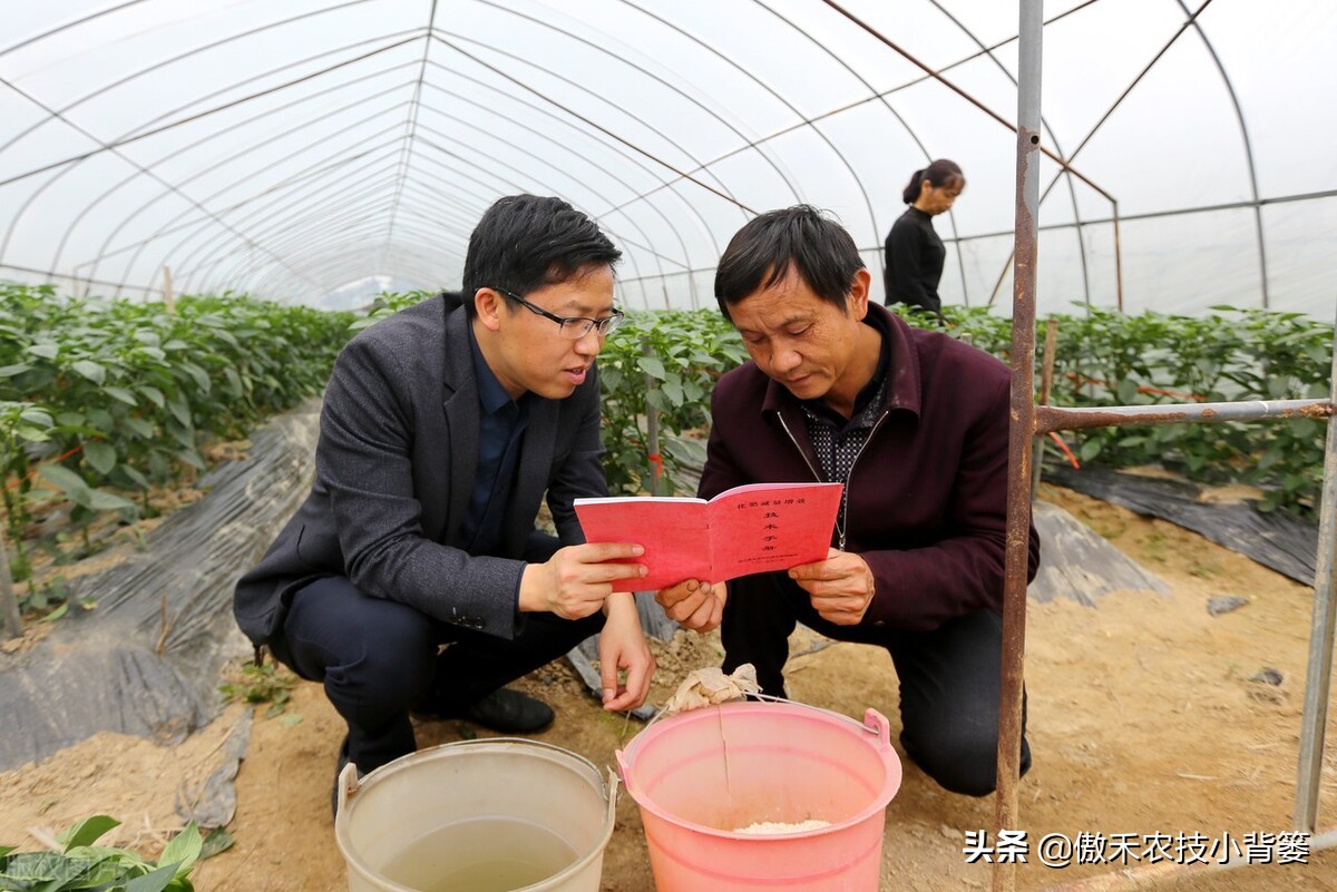 腐植酸氨基酸鱼蛋白肥料哪个更好,有机质肥料腐植酸海藻酸成分高吗