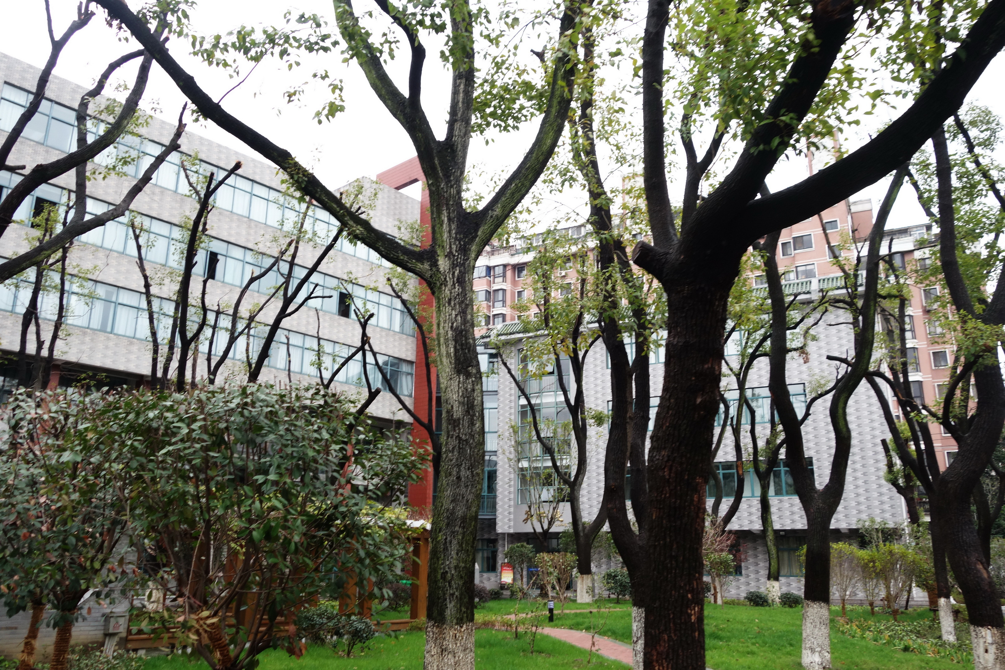 无锡梁溪区湖滨中学怎么样,无锡湖滨中学特色