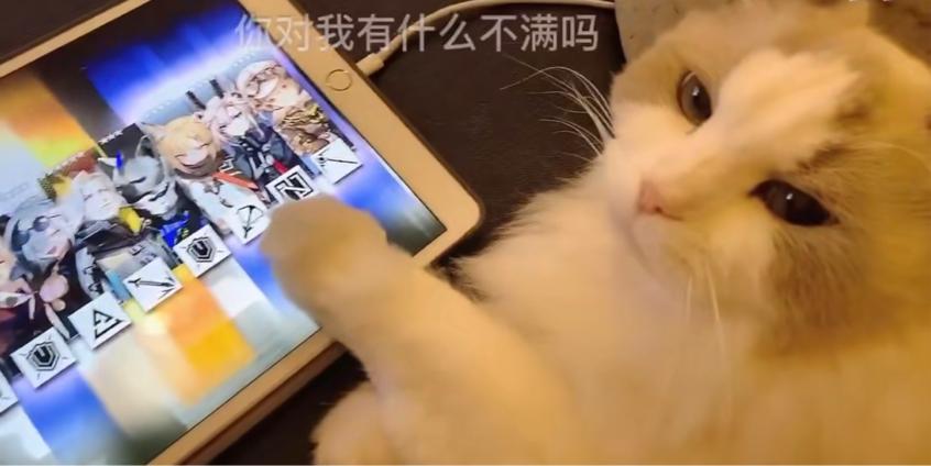 分享抽卡玄学,绝对有用的玄学抽卡