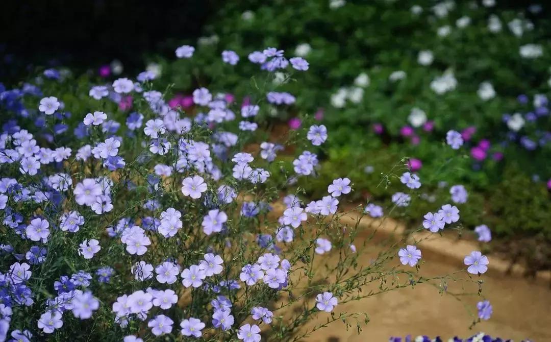 熊继柏纠正对中医的几个错误观念,熊继柏谈中医治疗