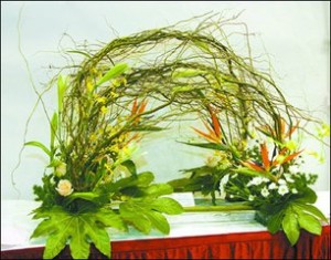 园艺疗法,园艺疗愈