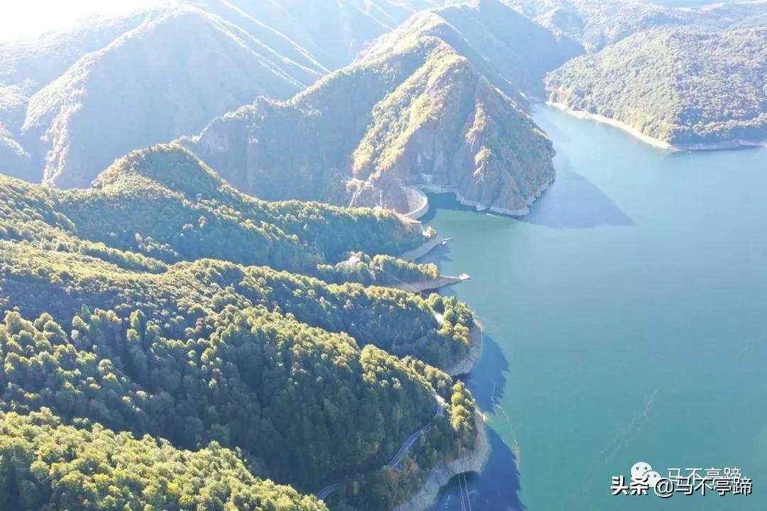 在家葛优躺的视频,晚上在家葛优躺视频