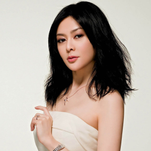 香港最漂亮的十大美女现在的样子,公认最美的香港美女