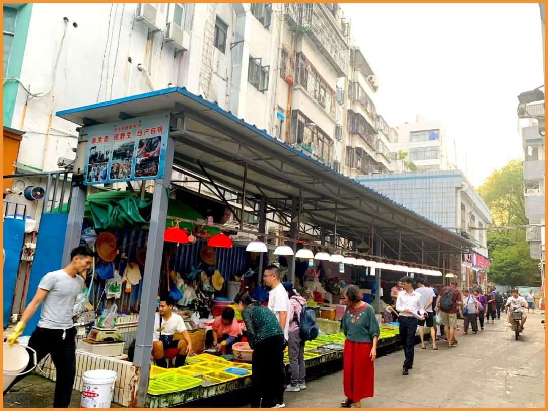 去蛇口玩吗,深圳蛇口值得去吗