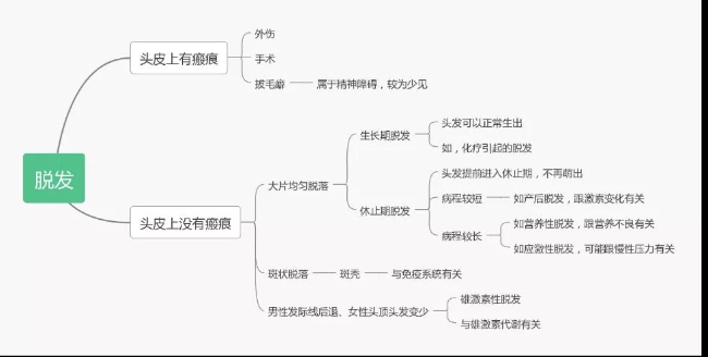抹生发液对头发好吗,抹生发剂能治脱发吗