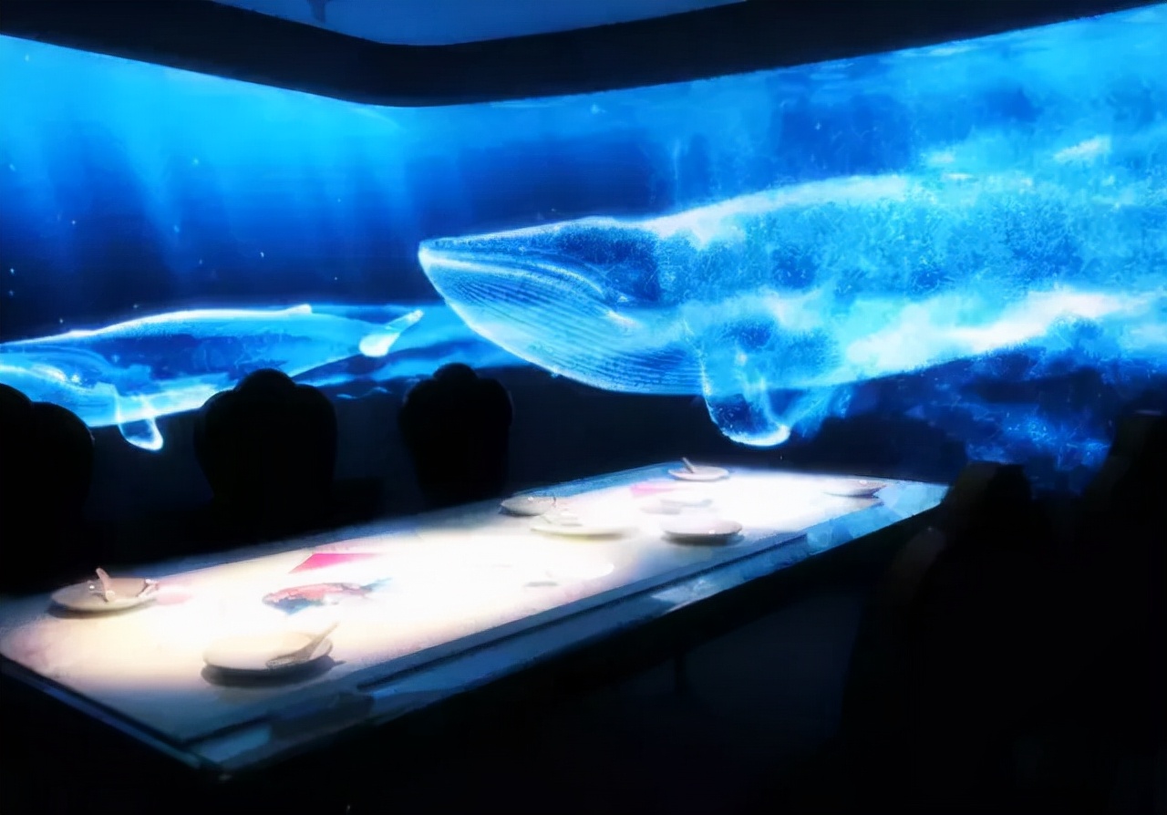 5d全景餐厅设计多少钱,5d全景餐厅要多少钱一个平方