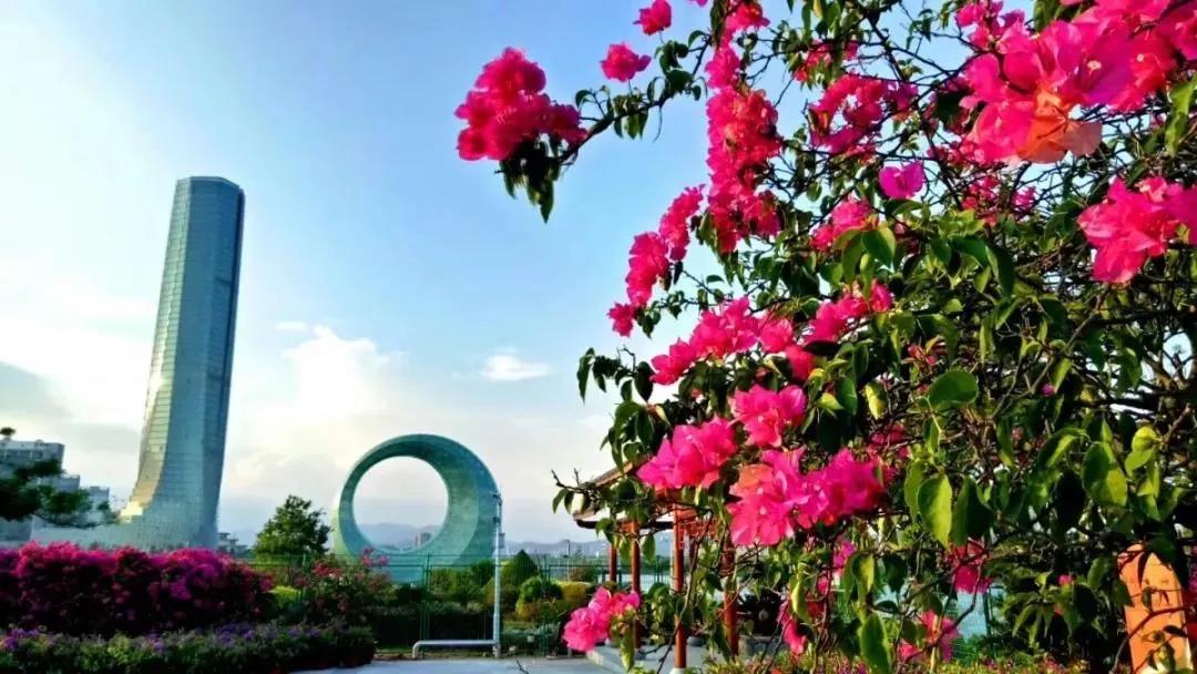 厦门旅拍攻略路线推荐一下,快来get旅游照怎么拍