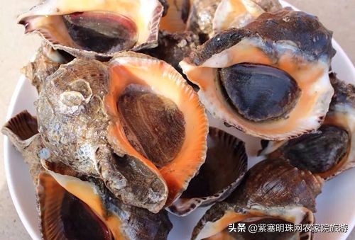 唐山月坨岛009号别墅农家院:乐亭的特色海鲜美食,吃货的天堂