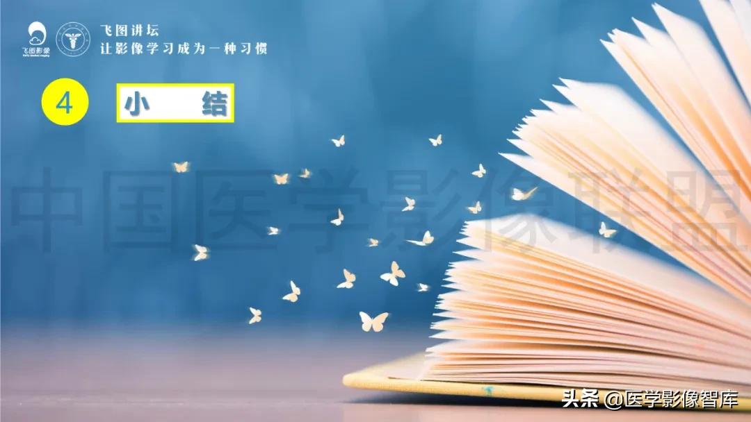 子宫解剖结构输卵管和卵巢位置,子宫附件ct影像学正常解剖表现