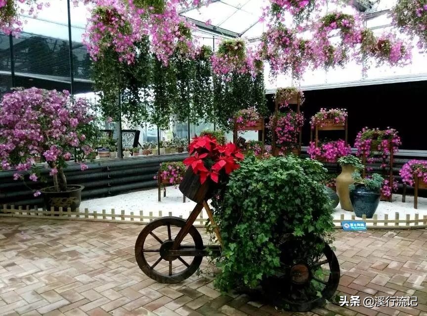 锦州世博园公交车时间表,锦州世博园9月中旬