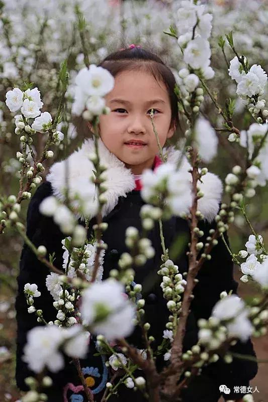 桃花源又见桃花开,盛景等君来,你若不来、花为谁开?