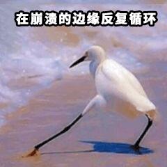 不找代购就可以买到大牌,不找代购也原价买到日货怎么办