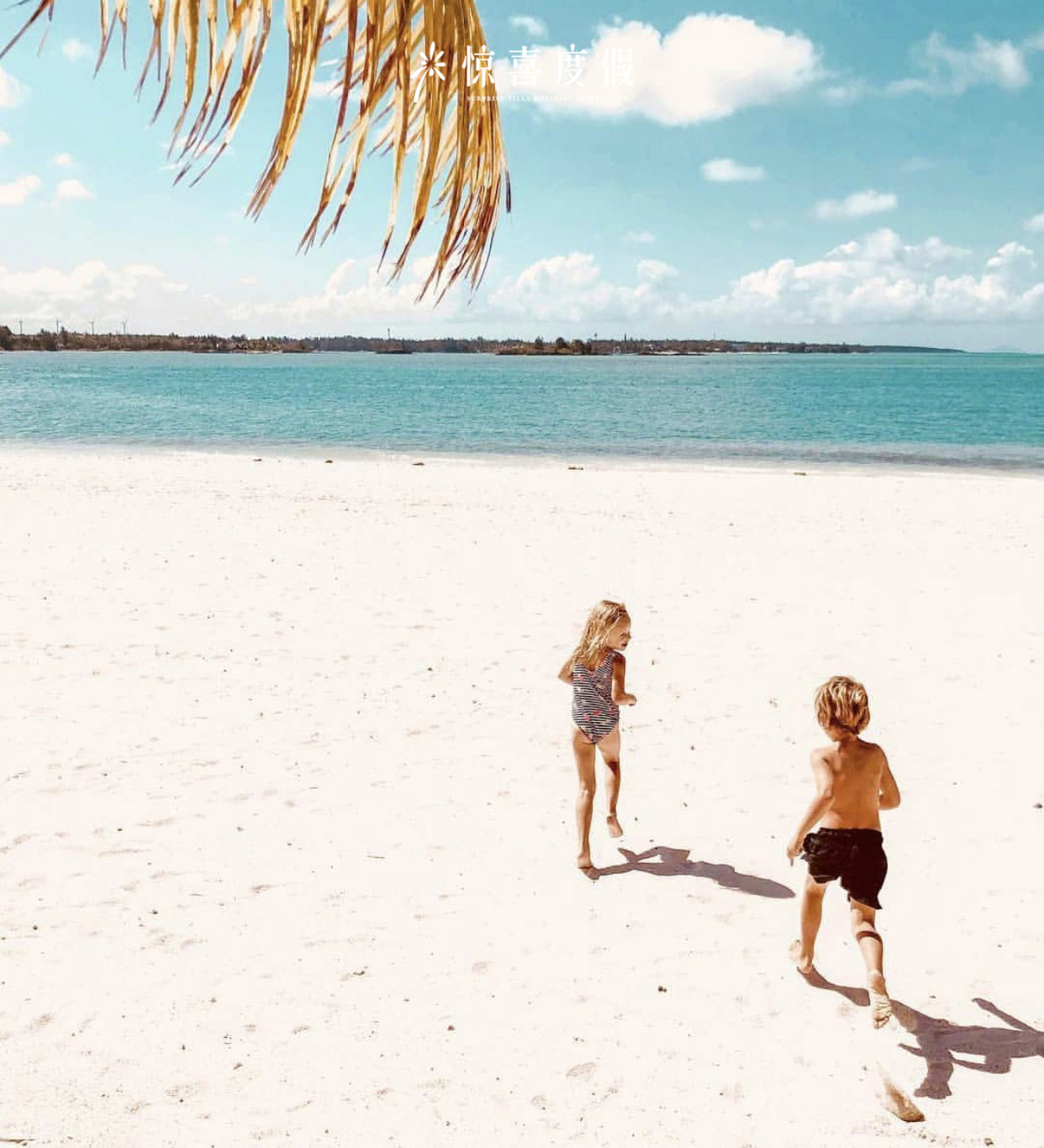 吸引无数好莱坞明星，遍布世界各地的OneOnly,怎么选才最亲子