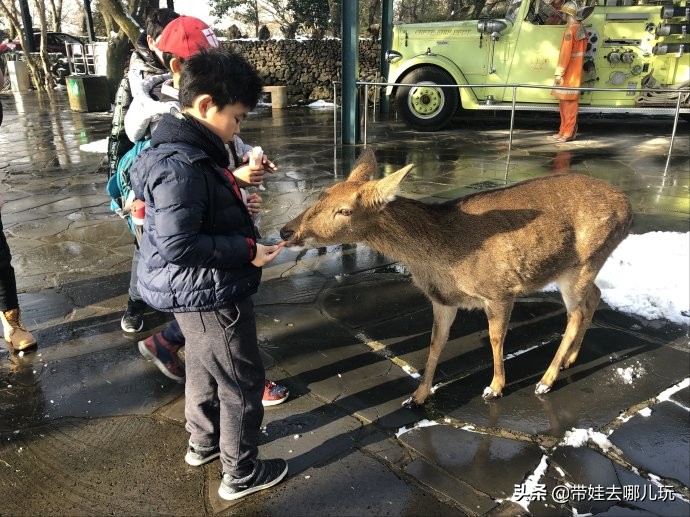 5天小长假国内飞海外,小长假出境游