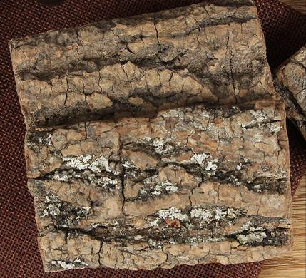 神农本草经中的药材图片,神农本草经高清彩图