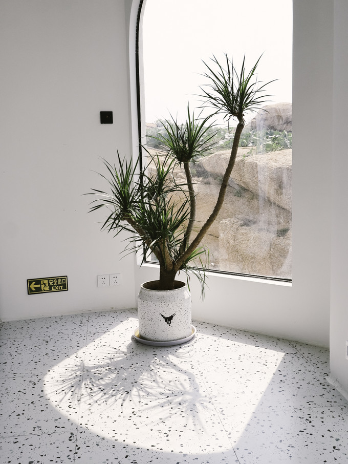 火山岛旅游攻略自由行包车,火山岛三天两晚游